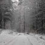 Apartamento Ptasi Zakatek