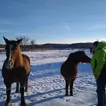 Ptasi Zakatek Apartamento