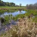 Ptasi Zakatek Tomaryny