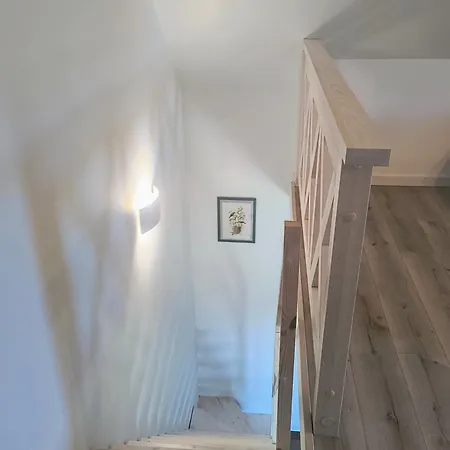 Ptasi Zakątek Tomaryny