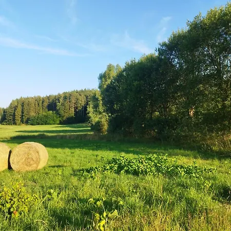 Apartament Ptasi Zakątek *