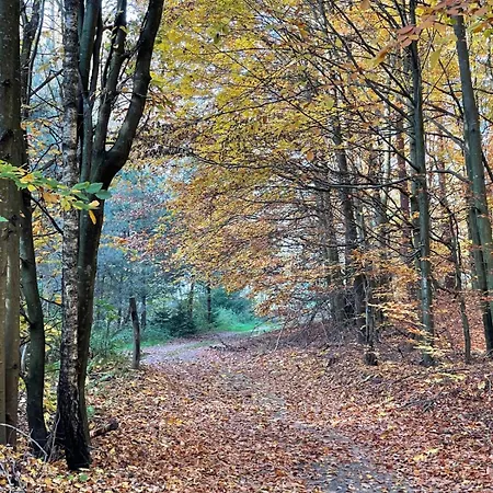 Ptasi Zakatek Appartement