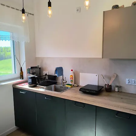 Apartment Ptasi Zakatek