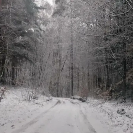 アパート Ptasi Zakatek