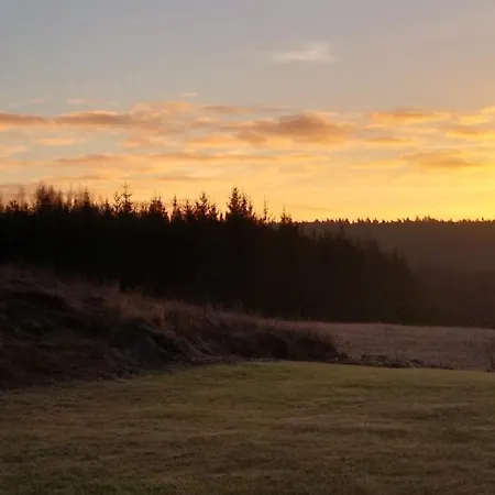 Ptasi Zakatek Tomaryny