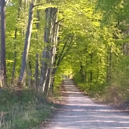 Ptasi Zakątek