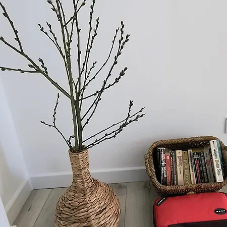 Apartment Ptasi Zakatek *