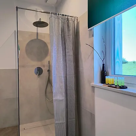 Apartment Ptasi Zakatek