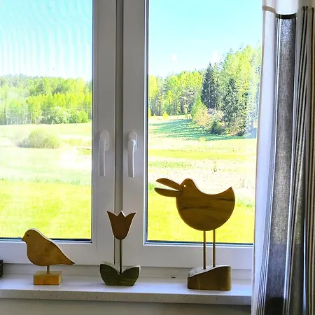 Ptasi Zakatek アパート *