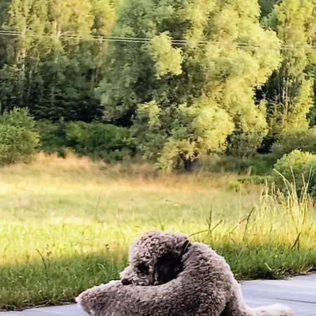 Ptasi Zakątek *