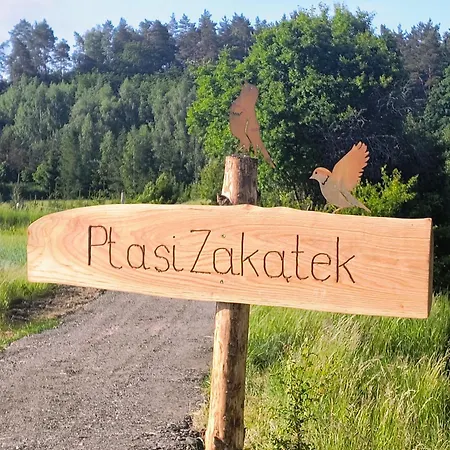 Апартаменты Ptasi Zakatek