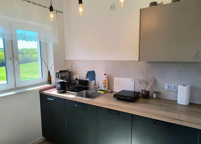 Апартаменты Ptasi Zakatek