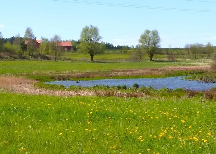 Апартаменты Ptasi Zakatek Tomaryny