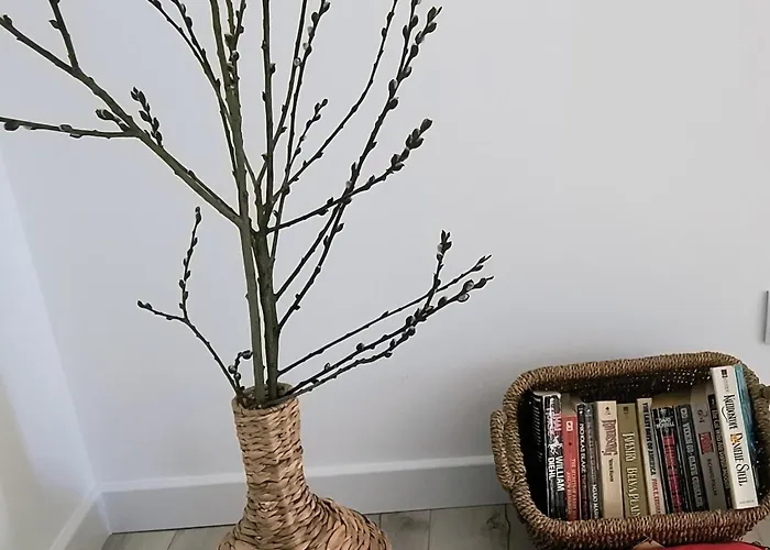 Апартаменты Ptasi Zakatek *